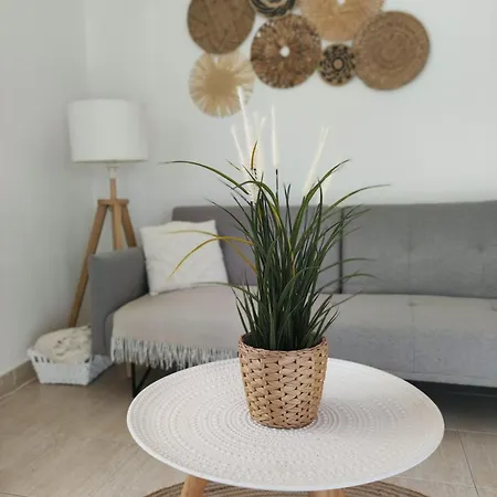 Coastal Dream - * Fuseta